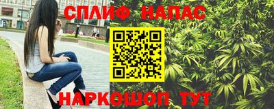 прущий лед Будённовск