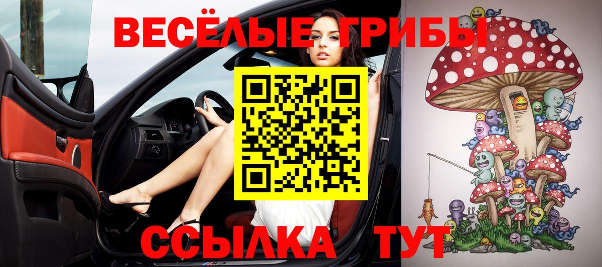 Галлюциногенные грибы Cubensis Канск
